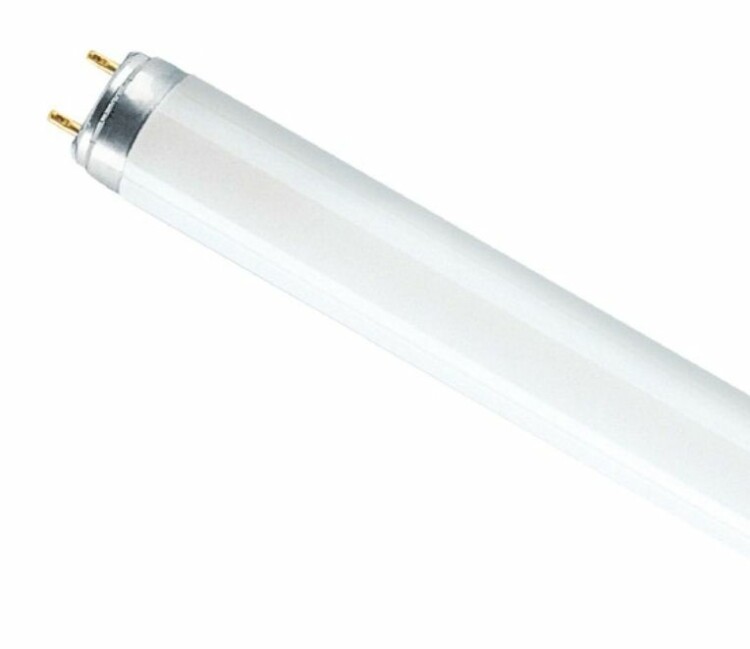 Лампа люмин. трубч. T8  600мм G13 18Вт 1200лм 4000К (цветоперед. >=60%) OSRAM (г. Смоленск)